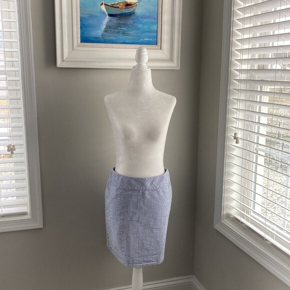 LLBEAN Blue White Searsucker Summer Mini Skirt Size 10 - Picture 1 of 8